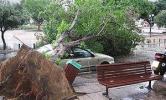 В Израиле бури крушат автомобили и размывают дороги