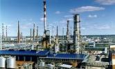 В России начнут производить биотопливо для Евросоюза