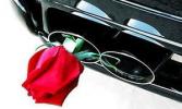 В 2007 году Япония начнет переход на биобензин