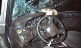 Туманы в Сербии привели к двукратному росту числа ДТП